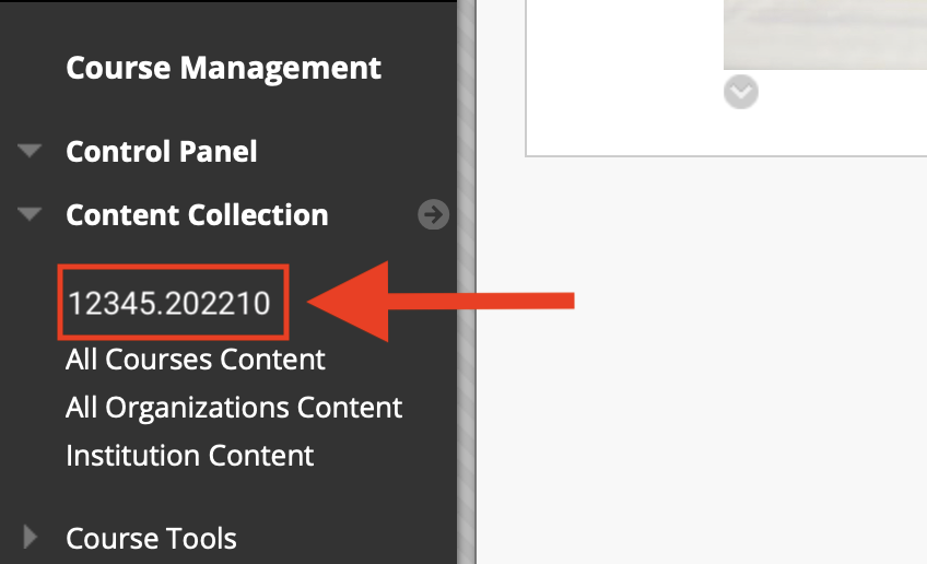 Course ID shown under the Content Collection menu in a Blackboard course